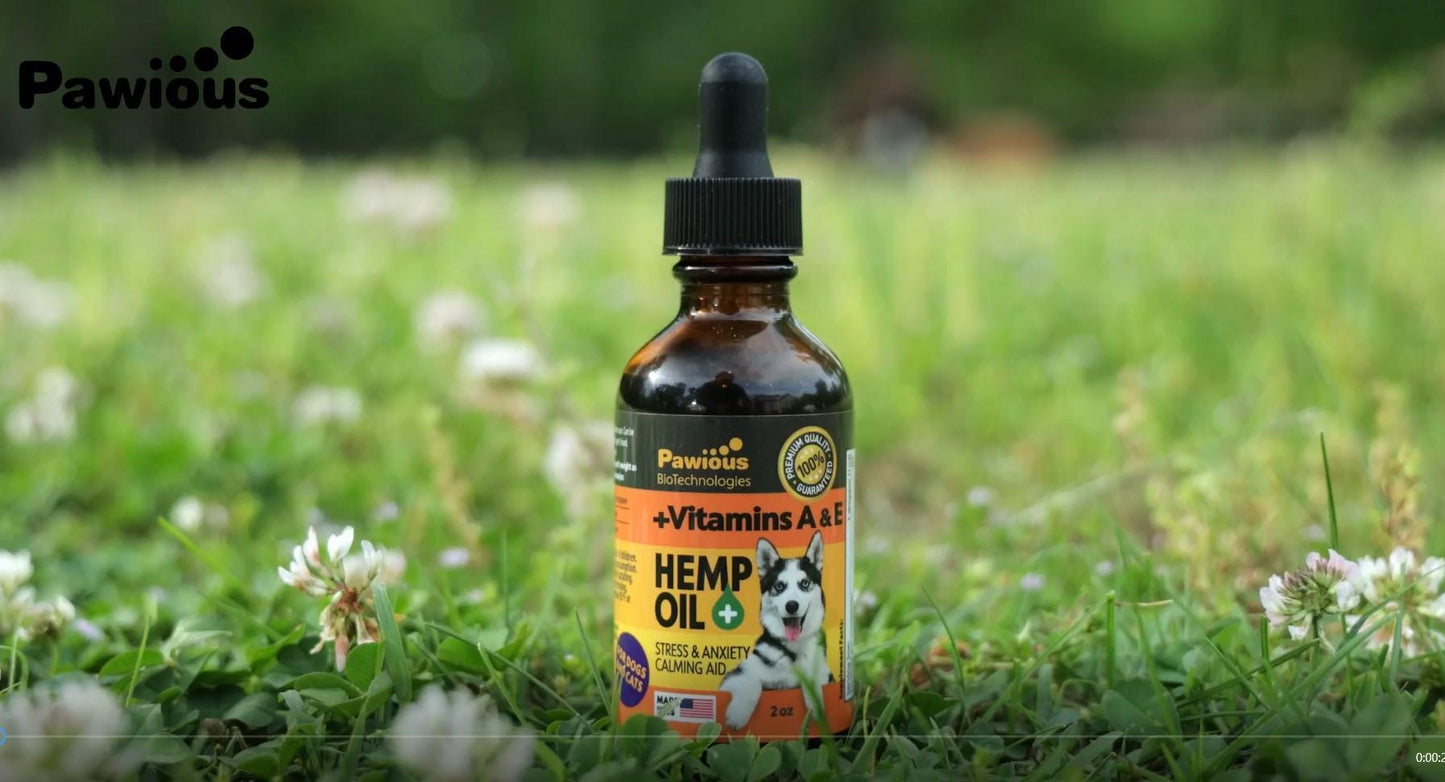 Hemp Oil for Dogs & Cats   Large 2oz Bottle Made in USA   Joint Pain