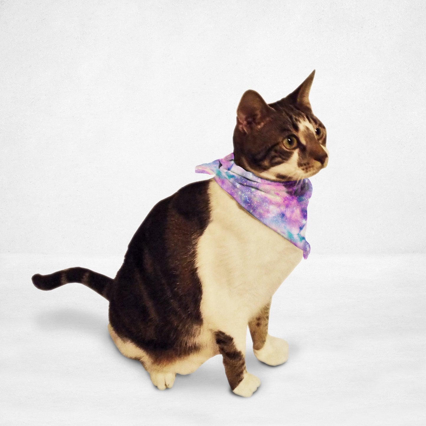 Starry Galaxy Cat & Dog Bandana