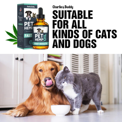 H–µmp –ûil Dogs Cats   Helps Pets with –ênxi–µty P–∞in Str–µss Sl–µ–µp